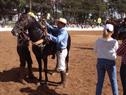 Exposição Especializada do Cavalo Mangalarga Marchador de Franca 2015