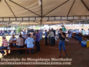 II Exposição de Inéditos do Mangalarga Marchador de Santo Antônio da Alegria